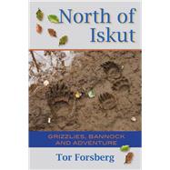 North of Iskut Grizzlies, Bannock and Adventure