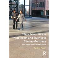 Ethnic Minorities in 19th and 20th Century Germany: Jews, Gypsies, Poles, Turks and Others