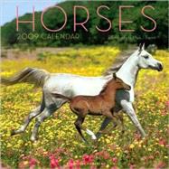 Horses 2009 Calendar
