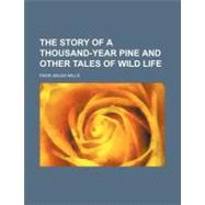 The Story of a Thousand-year Pine