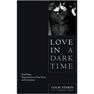 Love in a Dark Time : And Other Explorations of Gay Lives and Literature