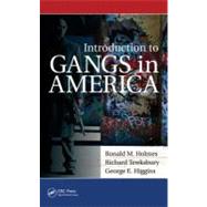 Introduction to Gangs in America,9781439869451