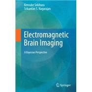 Electromagnetic Brain Imaging
