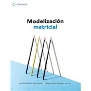 Modelización matricial