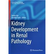 Kidney Development in Renal Pathology