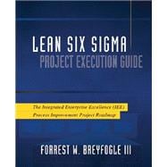 Lean Six Sigma Project Execution Guide