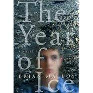 The Year of Ice A Novel