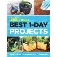 Best 1-day Projects