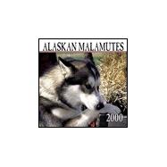 Alaskan Malamutes 2000 Calendar