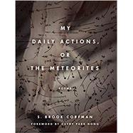 My Daily Actions, or the Meteorites