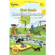 1st Grade Reading Roundup (Sylvan Fun on the Run Series)