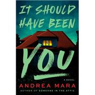 It Should Have Been You book cover, ISBN 9780385699495