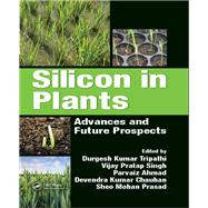 Silicon in Plants: Advances and Future Prospects