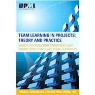 Team Learning in Projects Theory and Practice