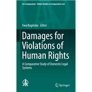 Damages for Violations of Human Rights