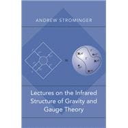 Lectures on the Infrared Structure of Gravity and Gauge Theory