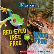Red-Eyed Tree Frog or Wood Frog (Wild World: Hot and Cold Animals)