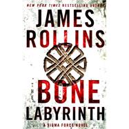 The Bone Labyrinth