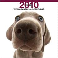 Weimaraner 2010 Calendar