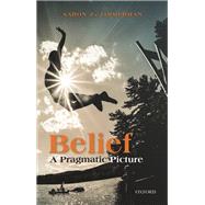 Belief A Pragmatic Picture