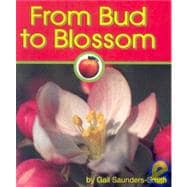 From Bud to Blossom