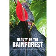 Beauty of the Rainforest