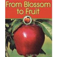 From Blossom to Fruit