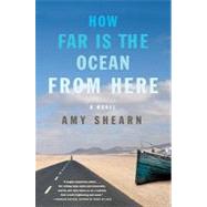 How Far Is the Ocean from Here: A Novel