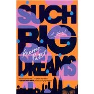 Such Big Dreams A Novel