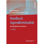 Handbuch Jugendkriminalität