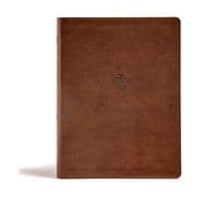 CSB Life Connections Study Bible, Brown LeatherTouch, Indexed For Personal or Small Group Study