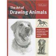The Art of Drawing Animals