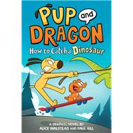 How to Catch Graphic Novels: How to Catch a Dinosaur