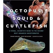 Octopus, Squid & Cuttlefish