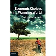 Economic Choices in a Warming World
