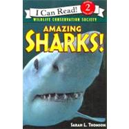 Amazing Sharks!
