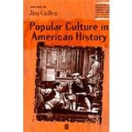 Popular Culture in American History