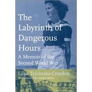 The Labyrinth Of Dangerous Hours