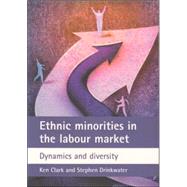 Ethnic Minorities in the Labour Market
