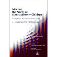 Meeting the Needs of Ethnic Minority Children--Including Refugee, Black and Mixed Parentage Children