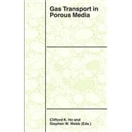 Gas Transport in Porous Media