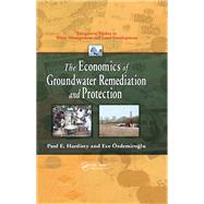 The Economics of Groundwater Remediation and Protection
