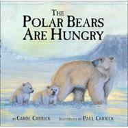 The Polar Bears Are Hungry