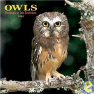 Owls 2003 Calendar