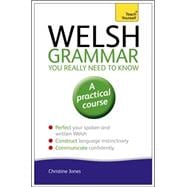 Welsh Grammar You Really Need to Know
