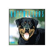 Rottweilers 2002 Calendar