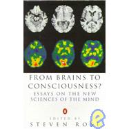 From Brains to Consciousness? : Essays on the New Science of the Mind