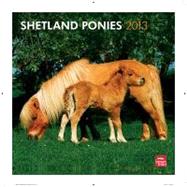 Shetland Ponies 2013 Calendar