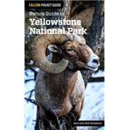 Nature Guide to Yellowstone National Park