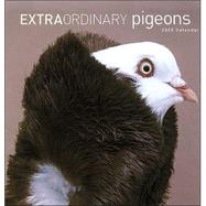 Extraordinary Pigeons 2005 Wall Calendar